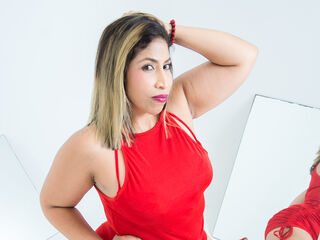 streaming live webcam AuroraVirelli