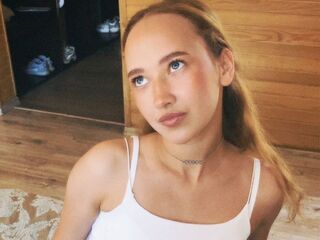 dirty web cam VeniceMidden